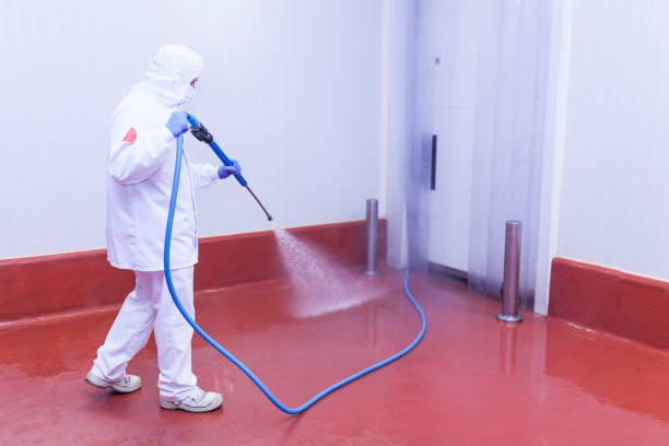 Best Solar Panel Cleaning  in Four Bridges, OH